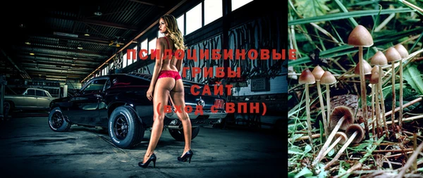 твердый Володарск