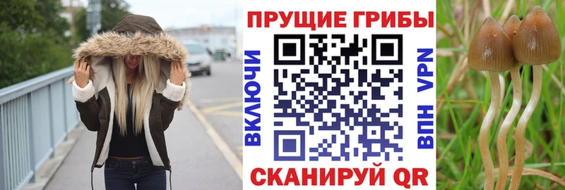 Купить  Оханск  Псилоцибиновые грибы ЛСД 